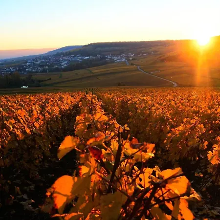 La Nova * La Neuville-aux-Larris