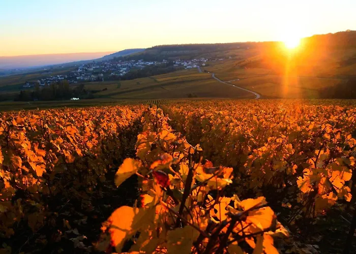 La Nova * La Neuville-aux-Larris